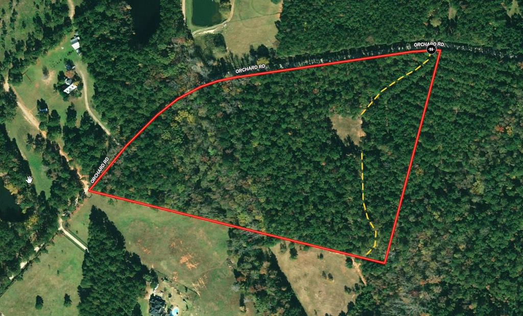21.77 AC ORCHARD ROAD, PINE MOUNTAIN VALLEY, GA 31823, photo 1 of 8