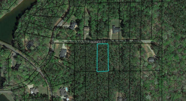 BLK 14 LOT 06 QUINCE COURT, WAVERLY HALL, GA 31831 - Image 1
